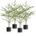 NNEAGS 4X 180cm Green Artificial Indoor Watercress Tree Fake Plant Simulation Decorative-0