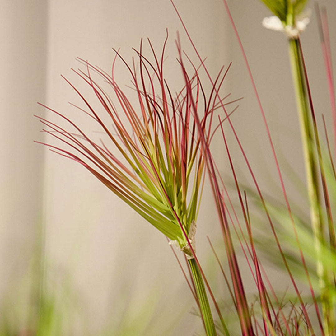 NNEAGS 150cm Purple-Red Artificial Indoor Potted Papyrus Plant Tree Fake Simulation Decorative-4