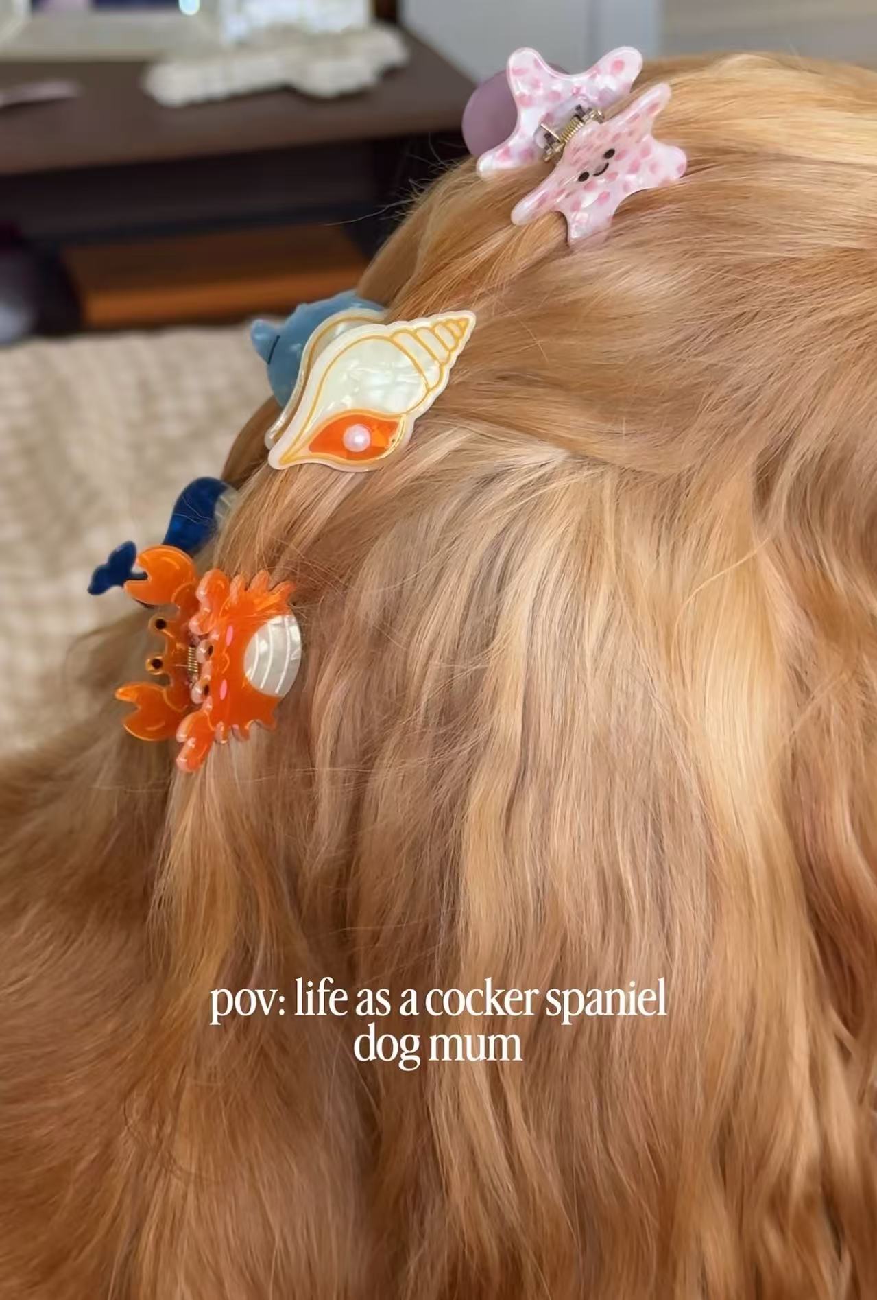 PAWSOME PETS NEW YORK Hand-painted OCEAN COLLECTION SMALL Hair Clip | Eco-Friendly-2