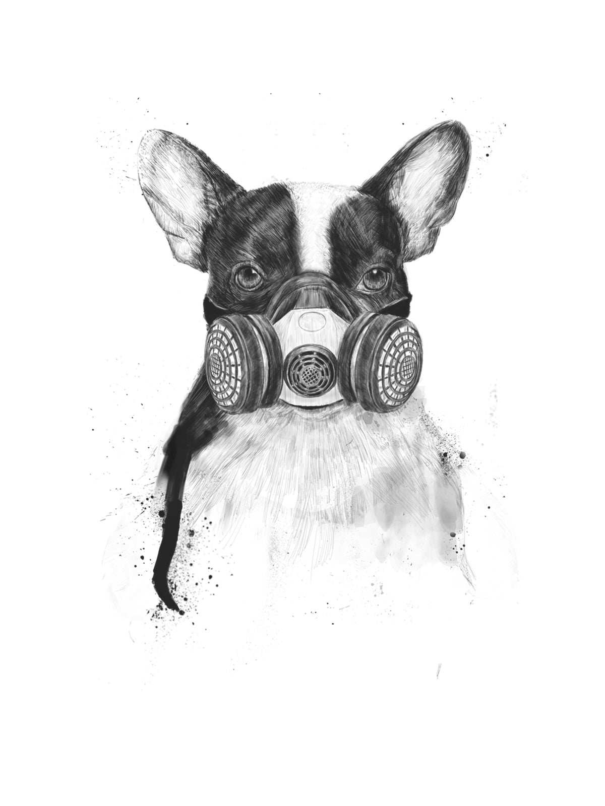 Acid Dog Tshirt-1