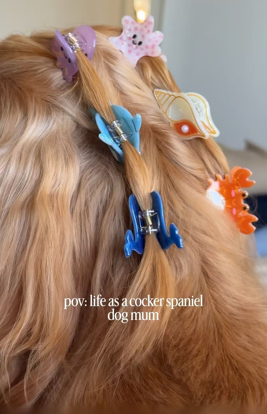 PAWSOME PETS NEW YORK Hand-painted OCEAN COLLECTION SMALL Hair Clip | Eco-Friendly-1