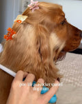 PAWSOME PETS NEW YORK Hand-painted OCEAN COLLECTION SMALL Hair Clip | Eco-Friendly-0