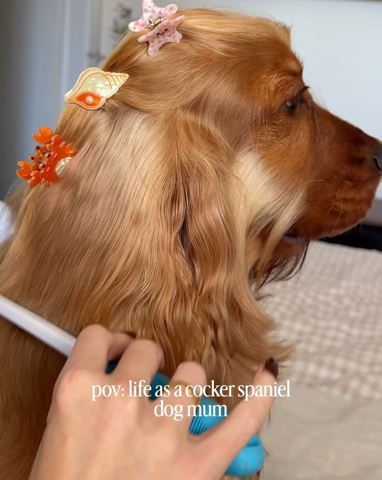 PAWSOME PETS NEW YORK Hand-painted OCEAN COLLECTION SMALL Hair Clip | Eco-Friendly-0