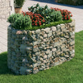 NNEVL Gabion Raised Bed Galvanised Iron 200x100x100 cm-0