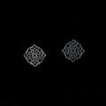 Cutwork Pattern Earrings-0