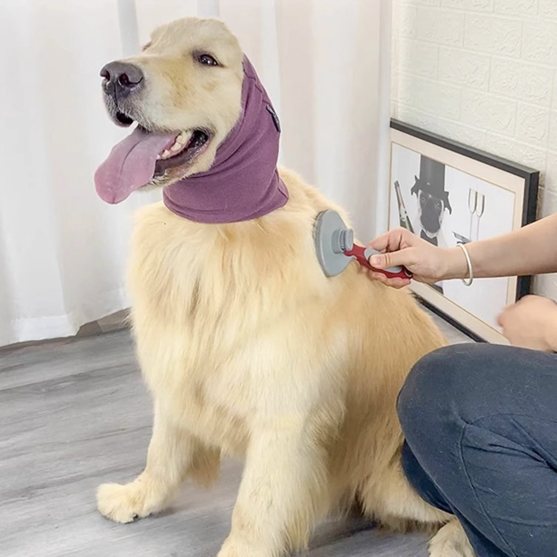 Dog Grooming Earmuffs Are Soft, Warm and Anti-Noise, Pet Outdoor Travel, Anti-Cold and Anti-Freeze Headgear, Noise Reduction