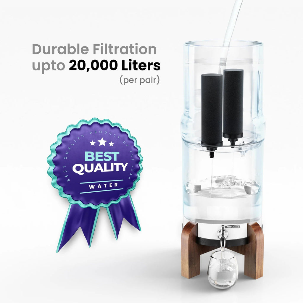 Phoenix Stainless Steel 6L with Fluoride & Smart Carbon Filter - Stainless Steel Stand-4
