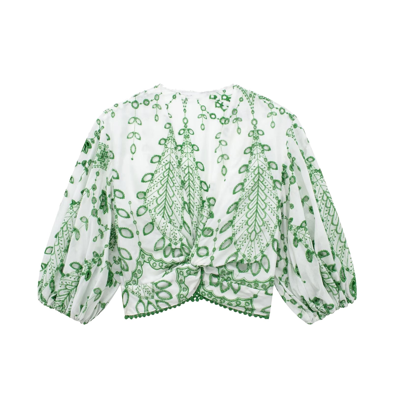Embroidered V-Neck Crop Top and High-Waist Shorts